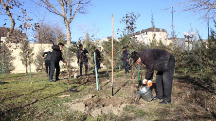 Rayonda keçirilmiş tədbirlərdə çəkilmiş şəkillər