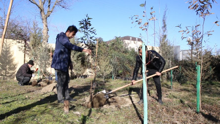 Rayonda keçirilmiş tədbirlərdə çəkilmiş şəkillər